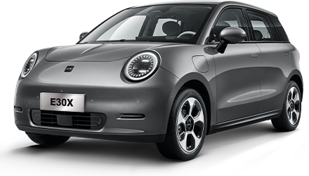 JAC EV 30X