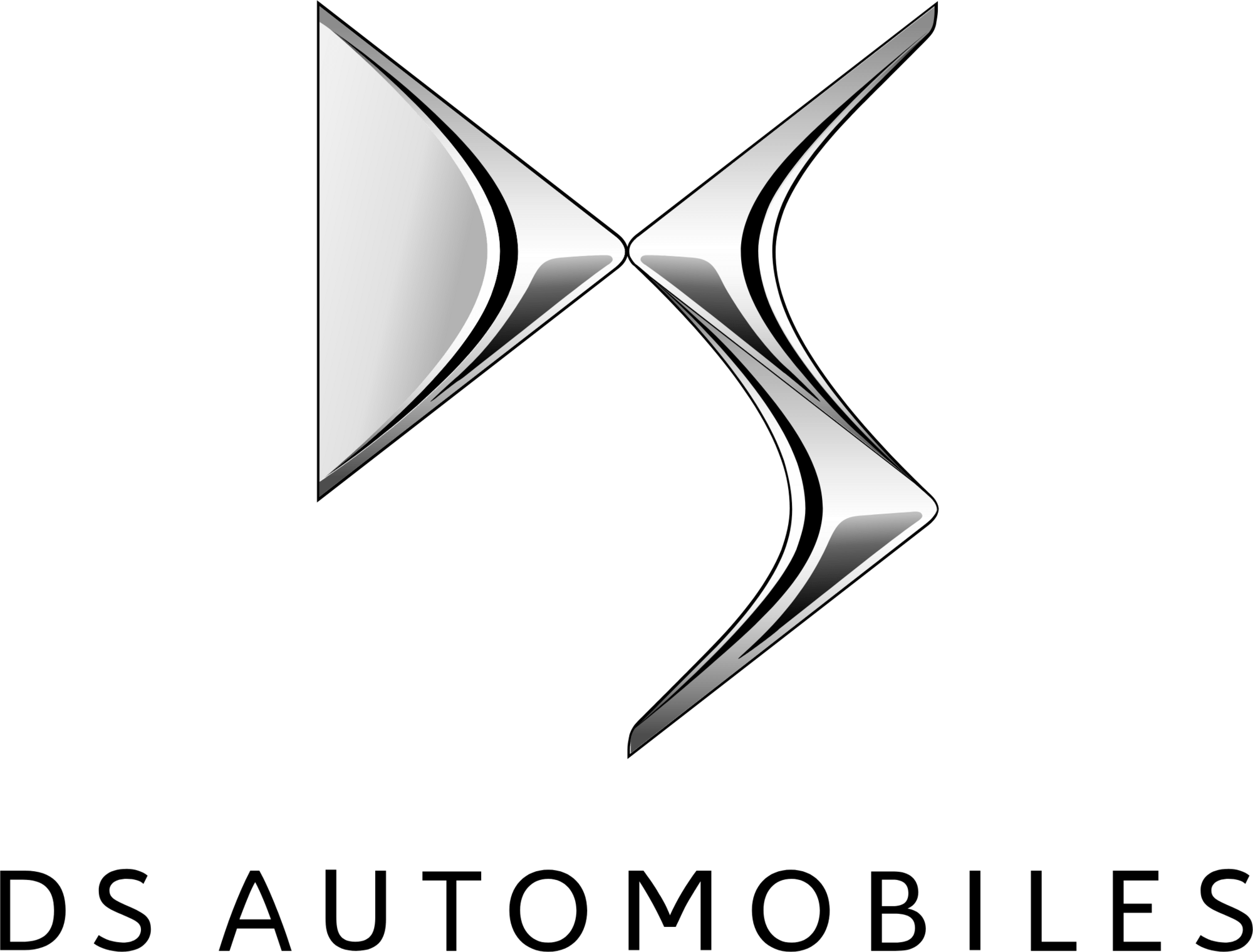 Logo DS